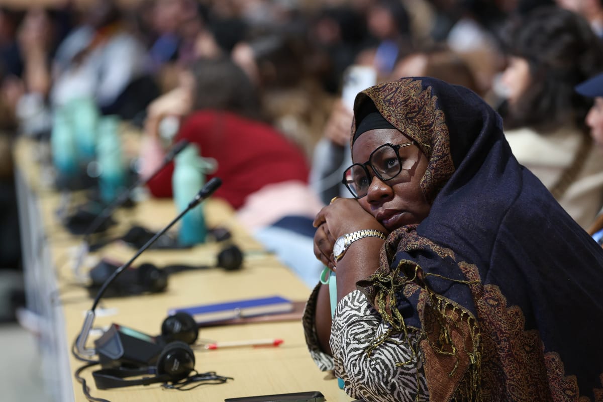 Peoples Plenary (Photo: UN Climate Change - Kiara Worth)