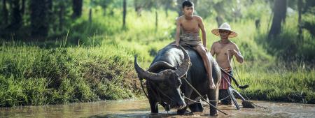 Why Asia still needs a development bank