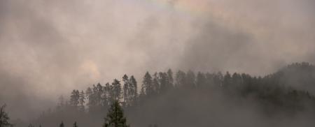 Why the gloom? Global economic prospects
