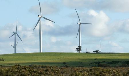 2015 Lowy Institute polling: Views on climate action ahead of United Nations climate negotiations in Paris