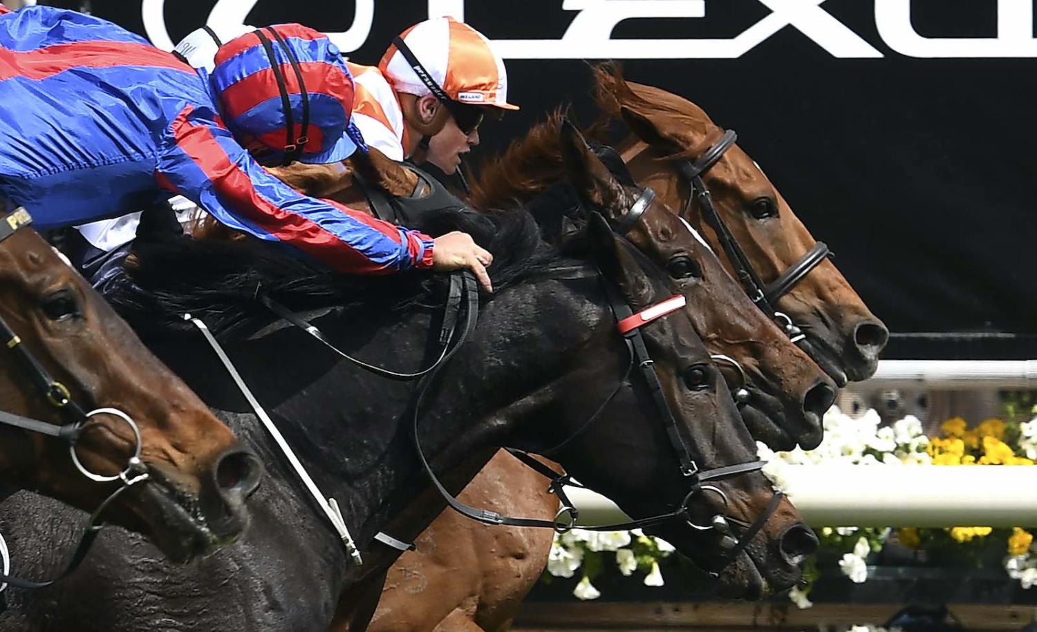 The race that stops the nation? Or the race that makes the nation? (William West/AFP via Getty Images)