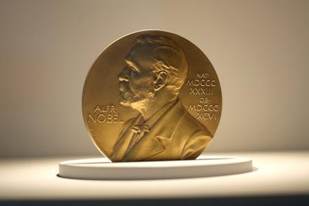 Economics as history: Assessing the 2024 Nobel Prize