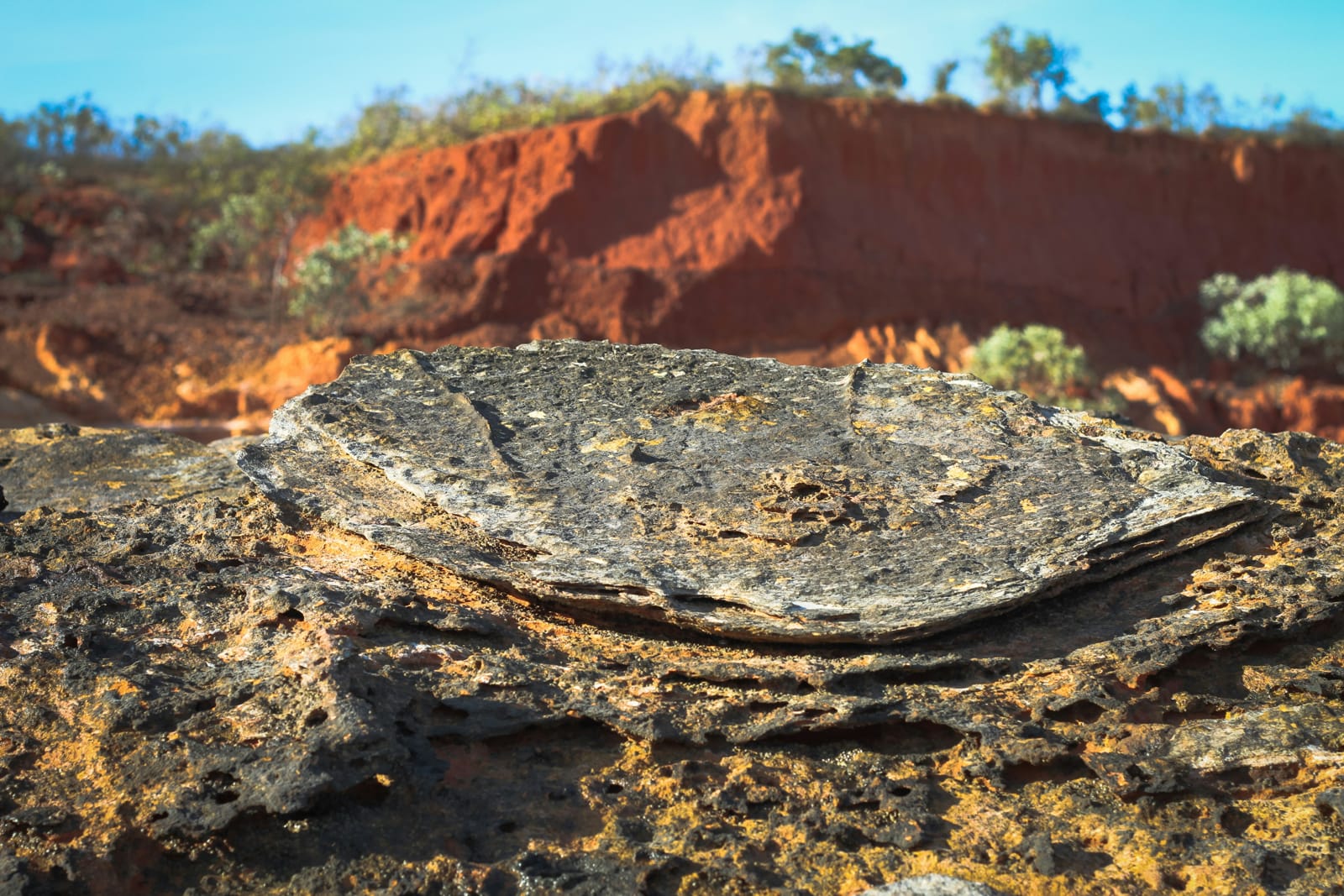 The Kimberly region in Western Australia (Paul-Alain Hunt/Unsplash)