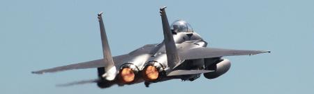 Singapore’s strike eagles show up flightless kiwis