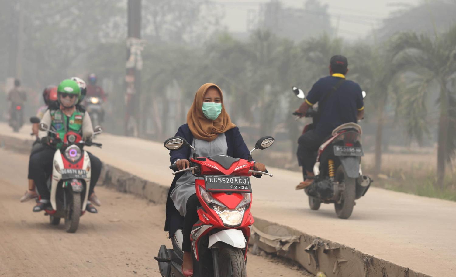 Australia's funding will support decarbonisation and clean energy projects across Asia (Muhammad A.F./Anadolu Agency via Getty Images)